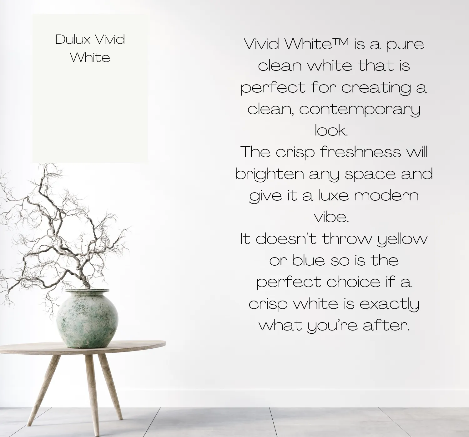 Dulux Vivid White