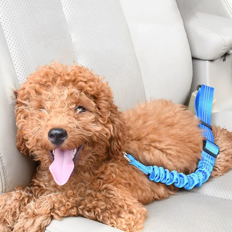 Elastic Reflective Safety Rope Traction Belt for Pet Dogs Supplies Car Seat Orange