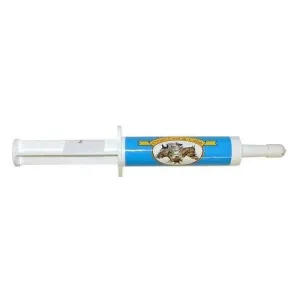 Oralx Cool & Calm Paste