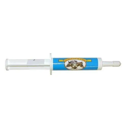 Oralx Cool & Calm Paste
