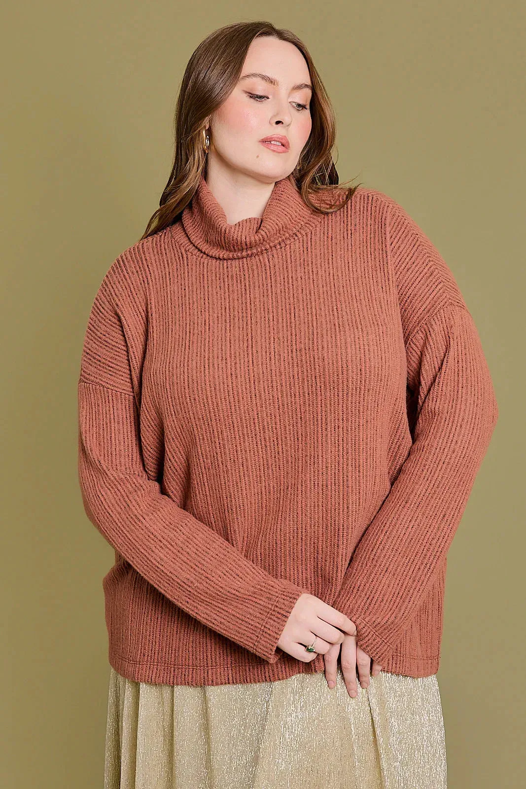 Plus Size Long Sleeve Brushed Turtle Neck Knit Top