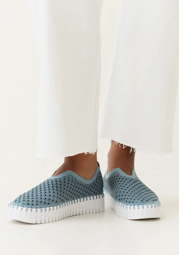 Tulip shoe