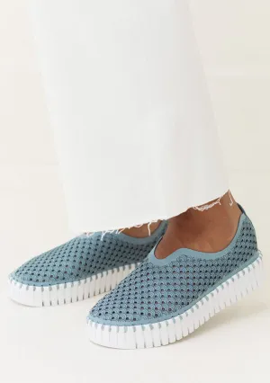 Tulip shoe
