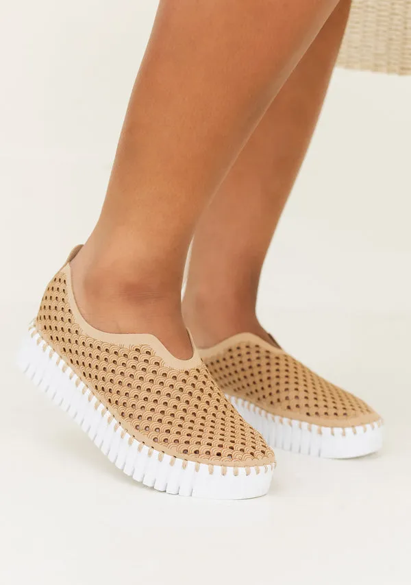 Tulip shoe