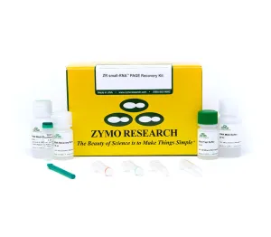ZR small-RNA  PAGE Recovery Kit